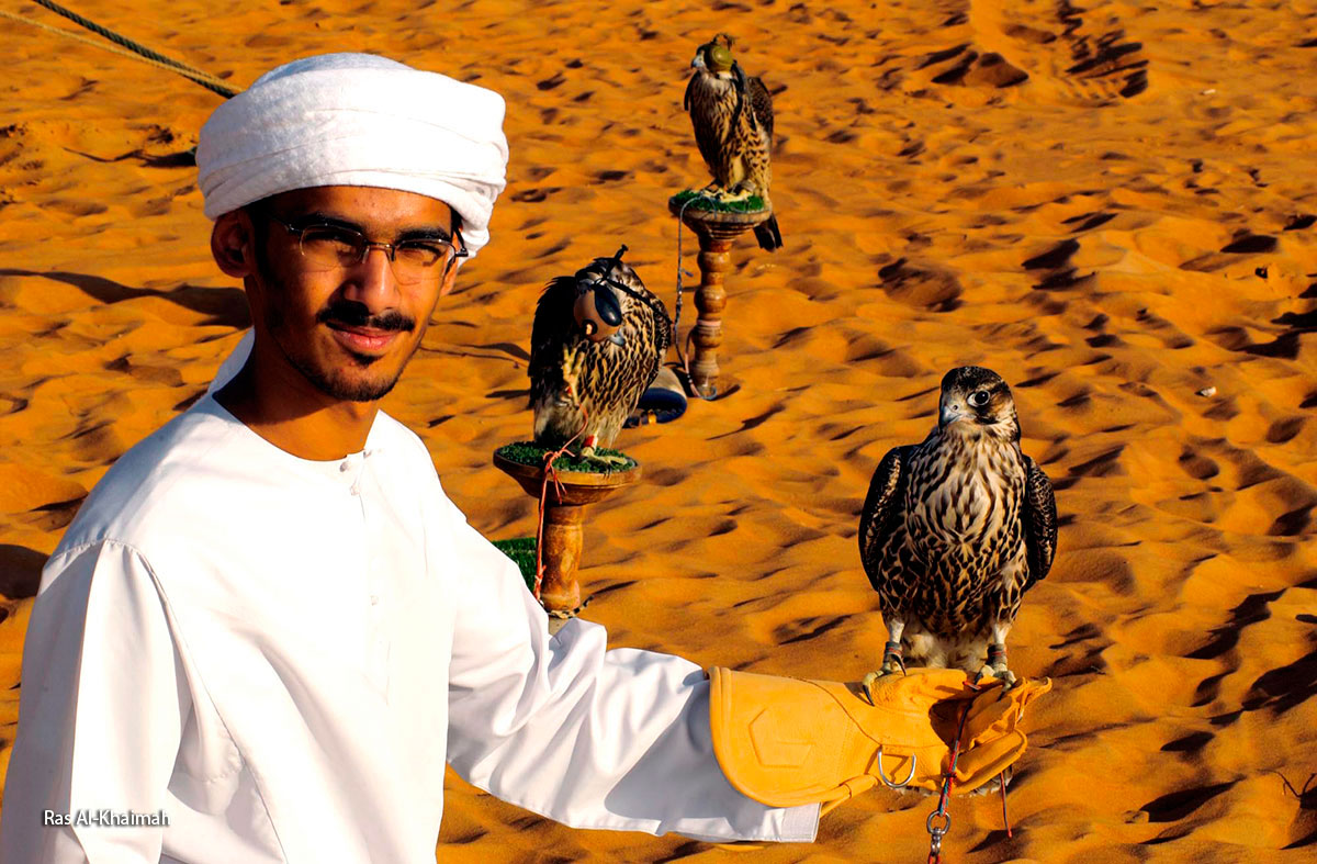 Ras Al Khaimah pokaz sokołów